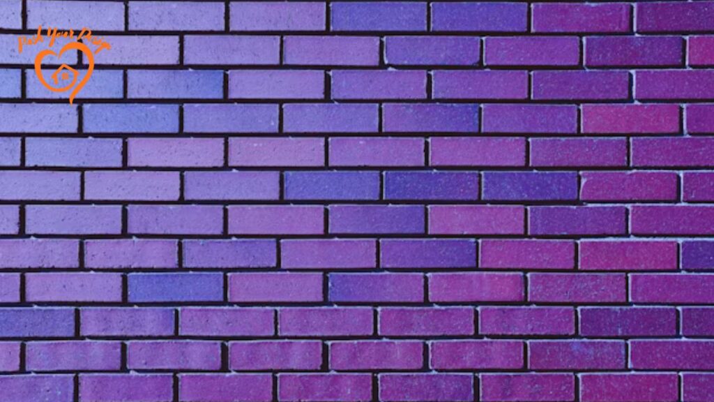 Transform Your Space with Plain Purple Wallpaper A Complete Guide